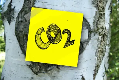 CO2-Kompensation: Gut fürs Gewissen, aber für die Umwelt …