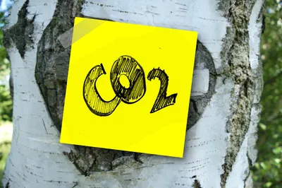 CO2-Kompensation: Gut fürs Gewissen, aber für die Umwelt …